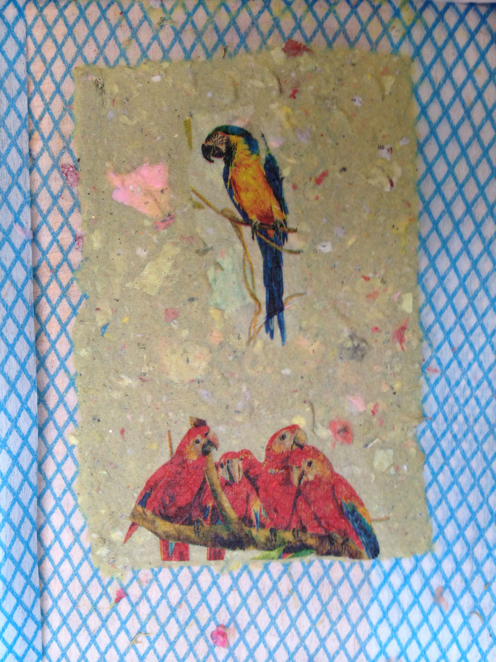rainforest art project