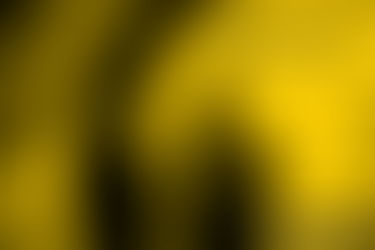 AUDITORIA NAS OPERAÇÕES LOGÍSTICAS (IV)