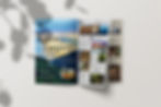Travel Group Flyer