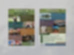 Travel Group Flyer