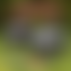 Why the Bigger Gas Tank on the DRK is a Major Win for Woods Riders