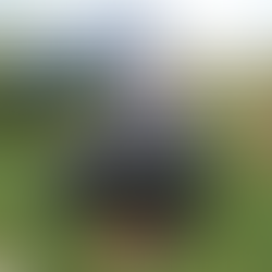 Keeping Your 4x4 Electric ATV in Top Shape: DRR USA’s Essential Maintenance Guide