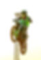 Bike jump-MX.jpg