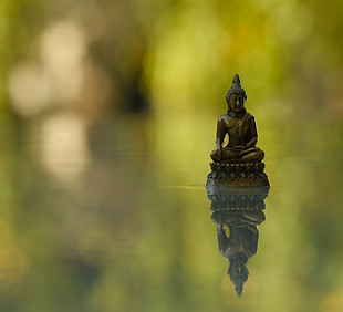 buddha-statue-gd61f314fa_1920.jpeg