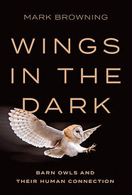 COVER WINGS IN THE DARK.jpg