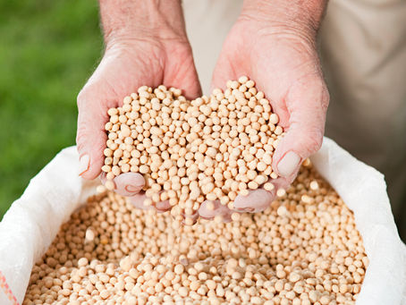 O protagonismo do Brasil na sustentabilidade do agronegócio