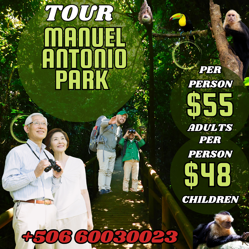 Green Modern Tour and Travel Instagram Post (3).png