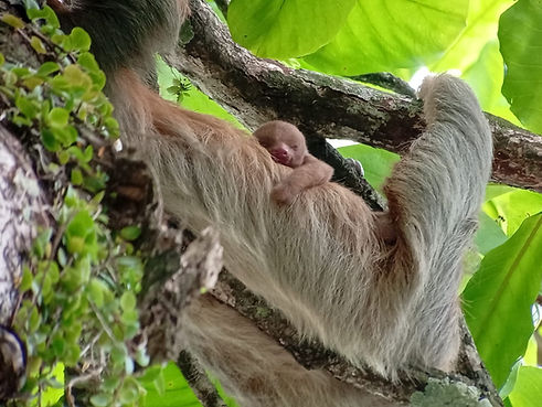 Imagen de WhatsApp 2025-07-21 a las 17.52.08_74e785ff.jpg