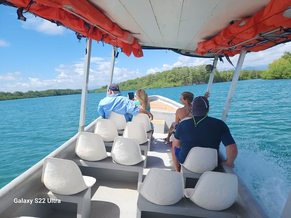 Miniatura: Baot or kayak Mangrove Tour.