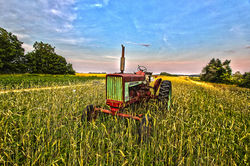 jamesport tractor