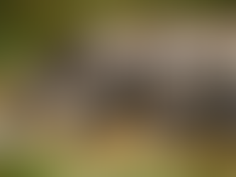 The Lenses & Filters of The Creative Eye 02: TheFilters of Proximity, Space & Similarity