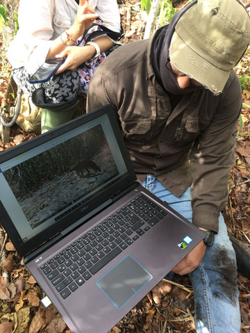 Field data visualization