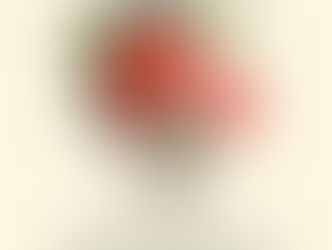 [1분묵상] 소박한 꽃 화려한 꽃