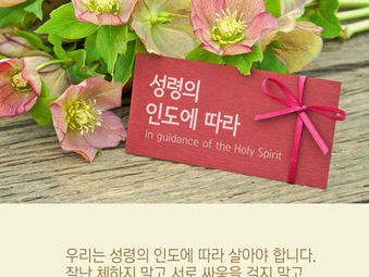 [1분묵상] 성령의 인도에 따라