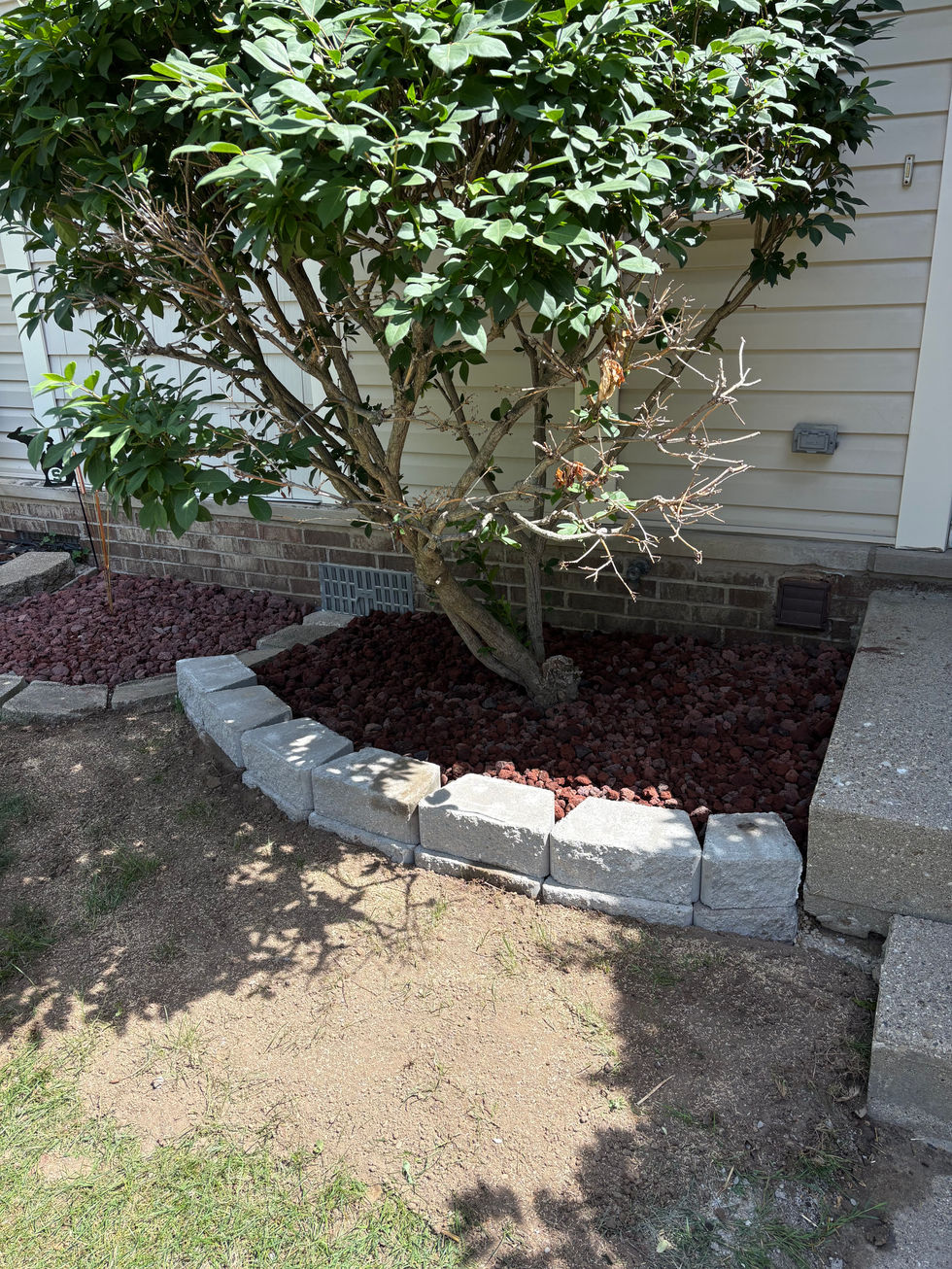 landscape wall install