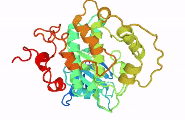 2.gif