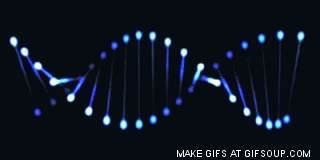 8.gif