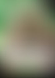 On Friday, September 12, 2025, the highly anticipated second booster pack for the Animal Card Game, "Tales of Destiny," will finally be released. This article provides a detailed explanation of the...