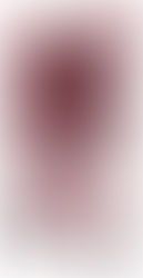 ROBOT魂 イージスガンダム ver. A.N.I.M.E. レビュー｜変形ギミックと劇中再現度がスゴい最新フィギュア