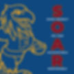 SOAR_Graphic-05-05.jpg