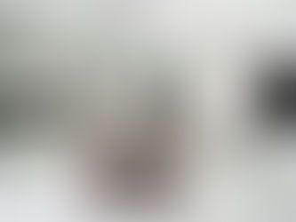 How Luxury Vinyl Tile Is The Perfect Solution for Pet-Friendly Homes?