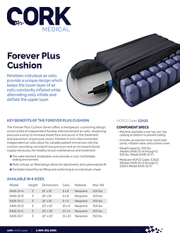 Forever Plus Cushion.png