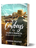 Ancienne couverture du tome 2 de la saga romance M/M Dans le lasso du temps de Marine Gautier