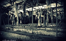 Photographie d’urbex réalisée par Marine Gautier lors de son parcours de photographe