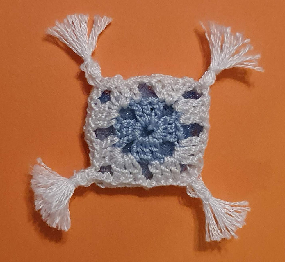 Cushion Bl/Wh $7.50
