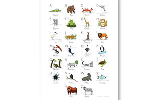enhanced-matte-paper-poster-(cm)-30x40-c