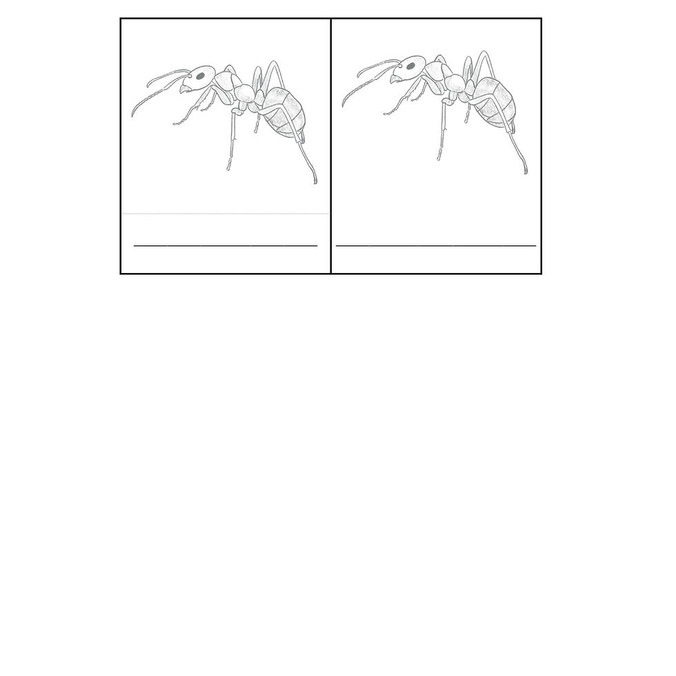Thumbnail: Parts of the ant Montessori three parts cards