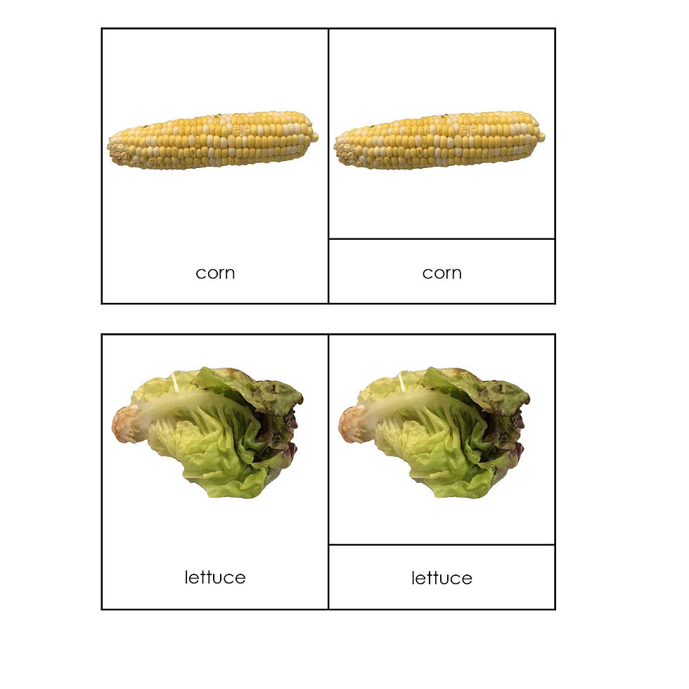 Thumbnail: Montessori three parts cards Vegetables