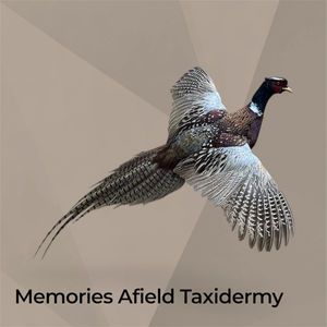UPLAND BIRDS