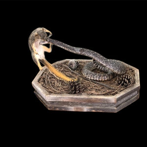 REPTILES & FISH