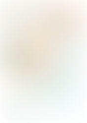 若手作家による希少植物作品展　ーあしもとにゆらぐ Vol.7ー　参加