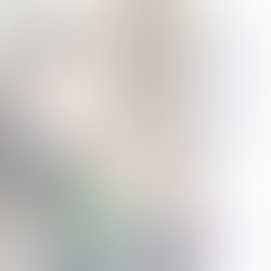 若手作家による希少植物作品展一あしもとにゆらぐvol.6ー