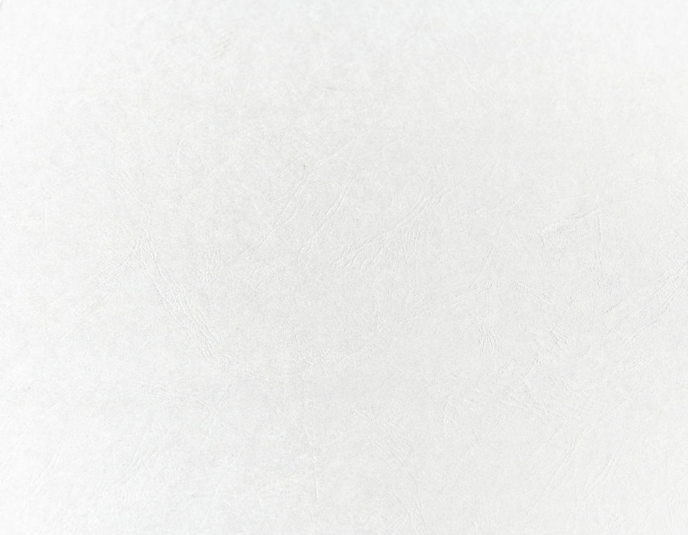 Paper 21.jpg