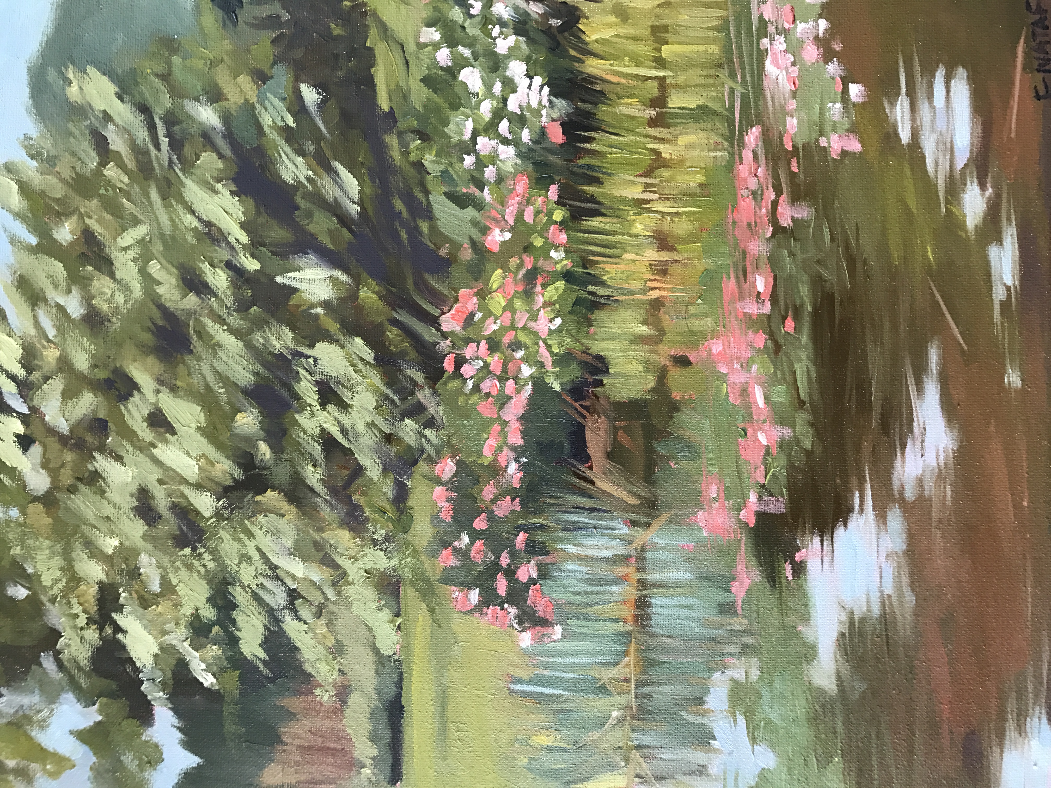 Arnold arboretum II 2