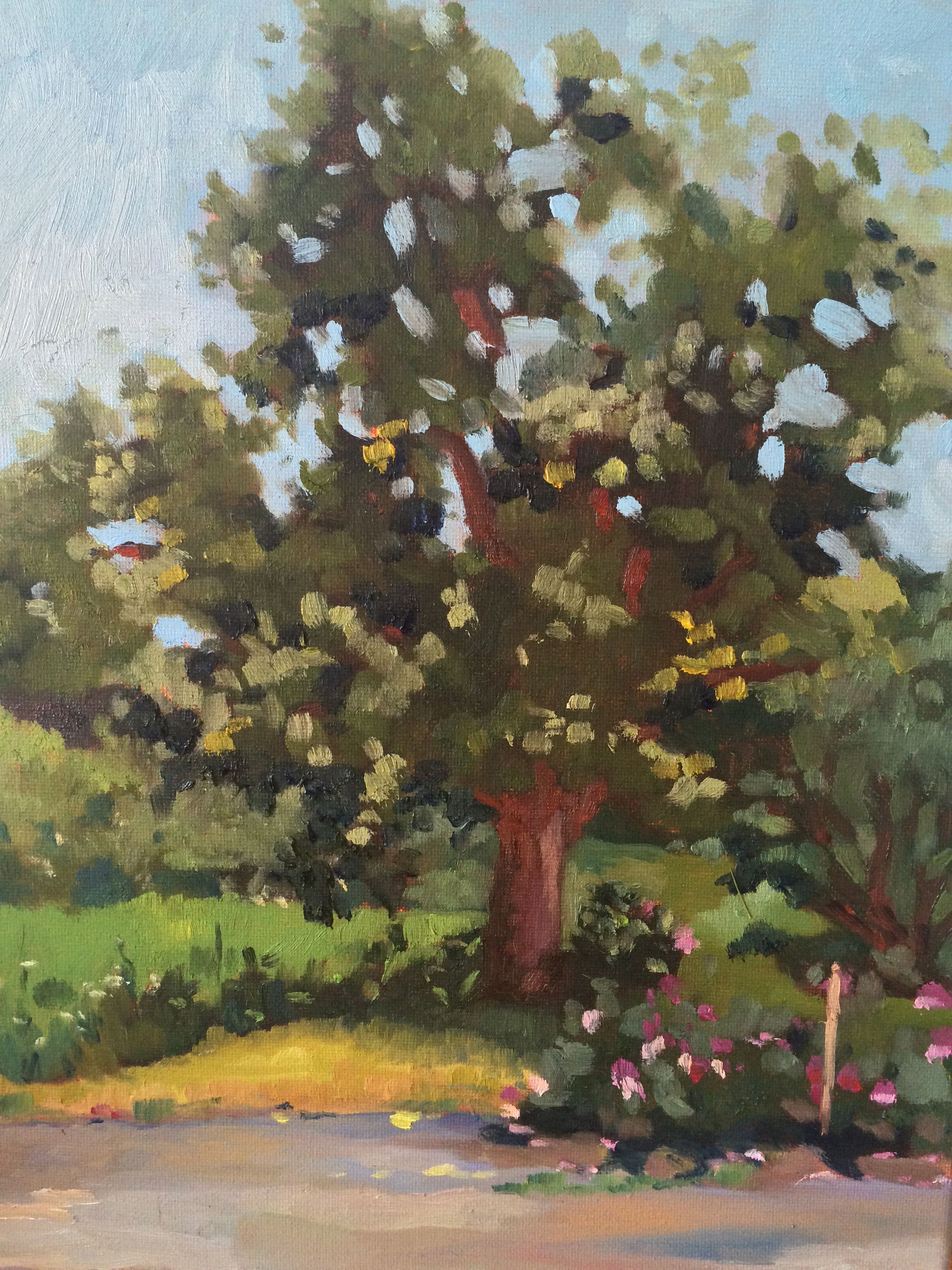 Arnold Arboretum