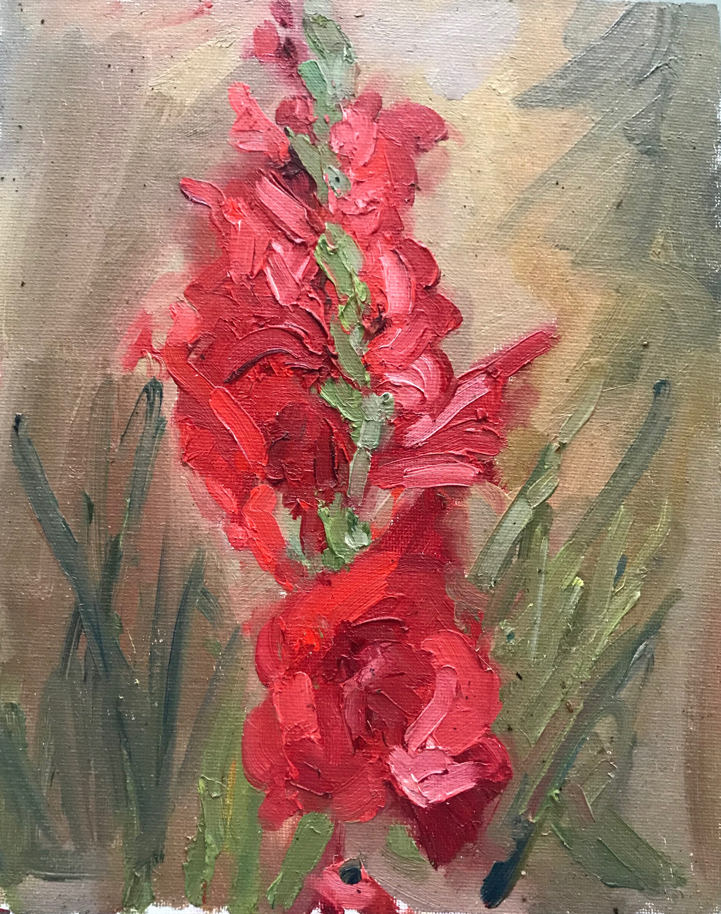 Gladiolus II