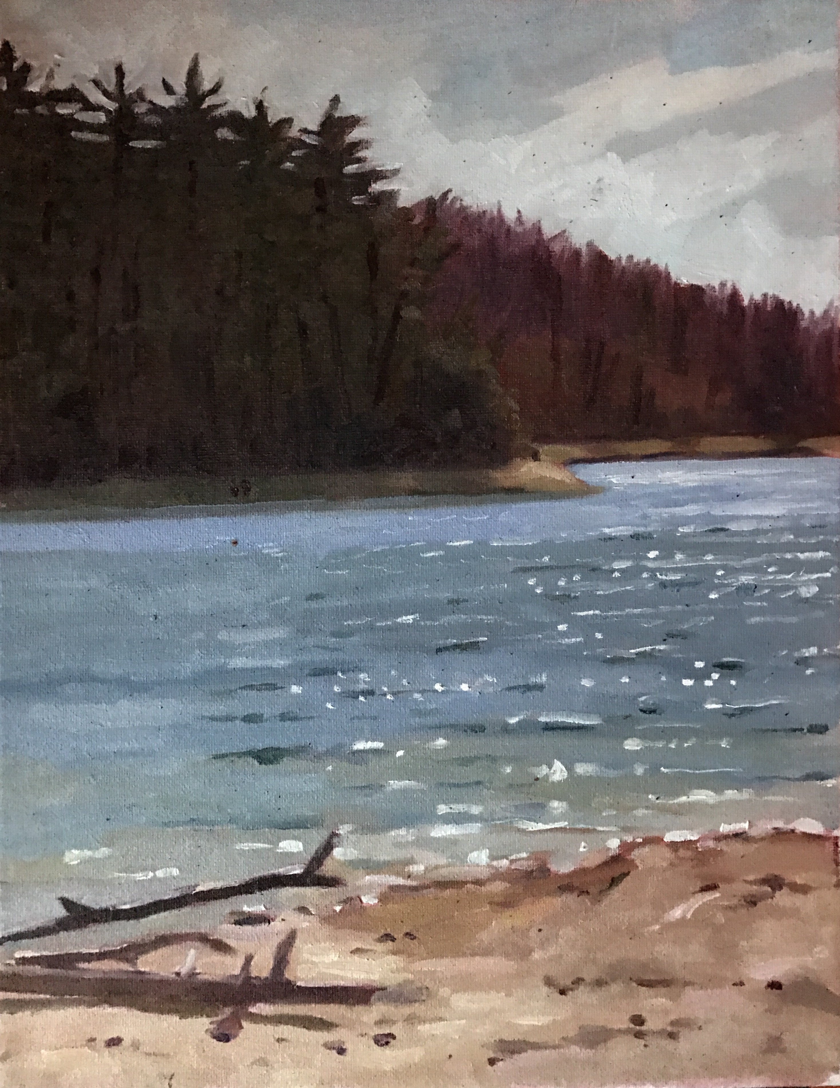 Walden Pond