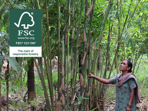 Industree bags India’s first FSC® FM certification