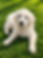 ChatGPT Image Mar 31, 2026, 05_14_53 PM.png
