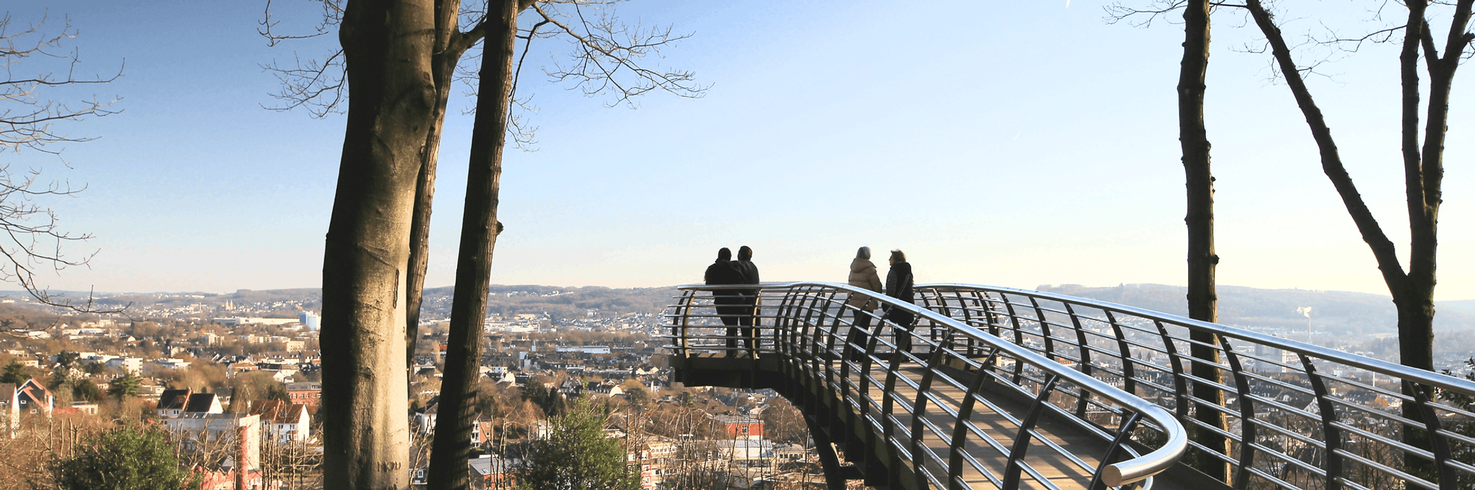 baumfällung in wuppertal