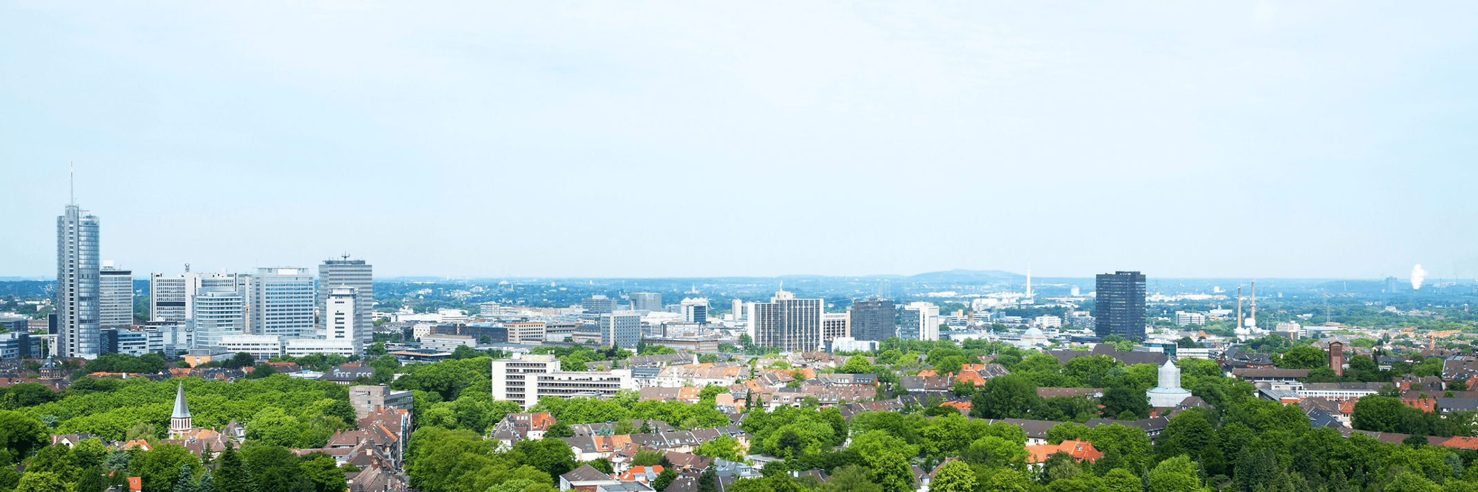 Baumfällung in Essen