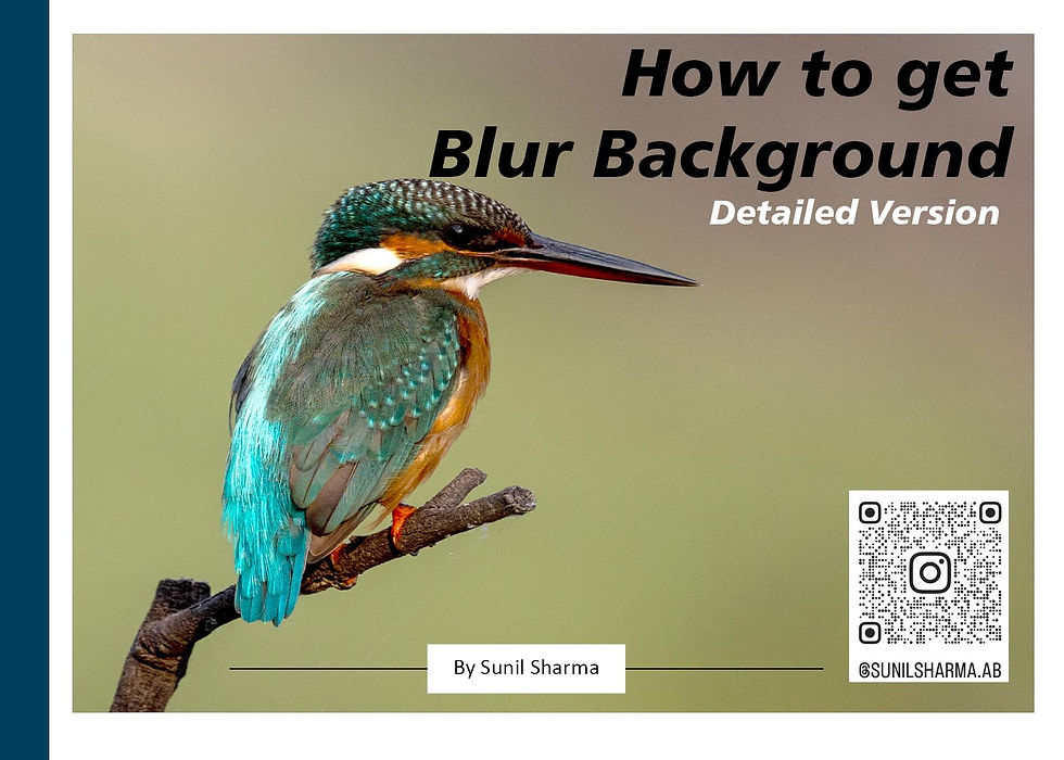 Thumbnail: eBook | How to get blur background