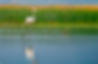 501_3233-Edit.jpg