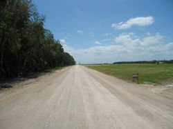 DSC01109