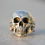 Miniatura: SKULL REAL - Anatomicamente correta tamanho G
