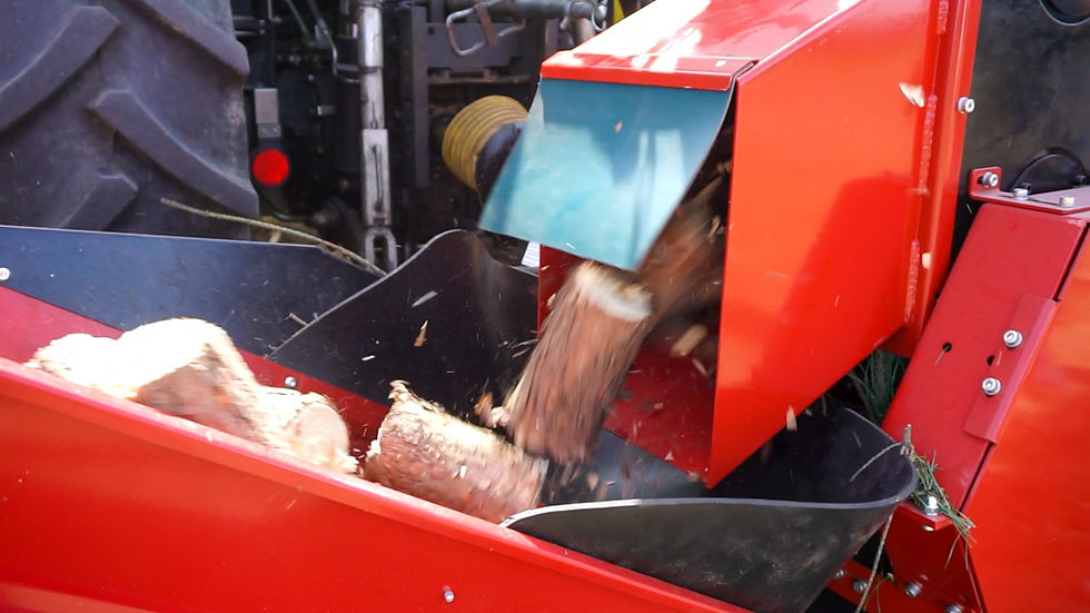 Miniaturbild: RP-200 SUPER  Holzhacker + 4,00m Förderband + 70Kg Schwungrad